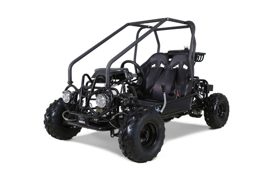 GK110cc Two Seater Go-Kart (Automatic w/Reverse - Electric Start)